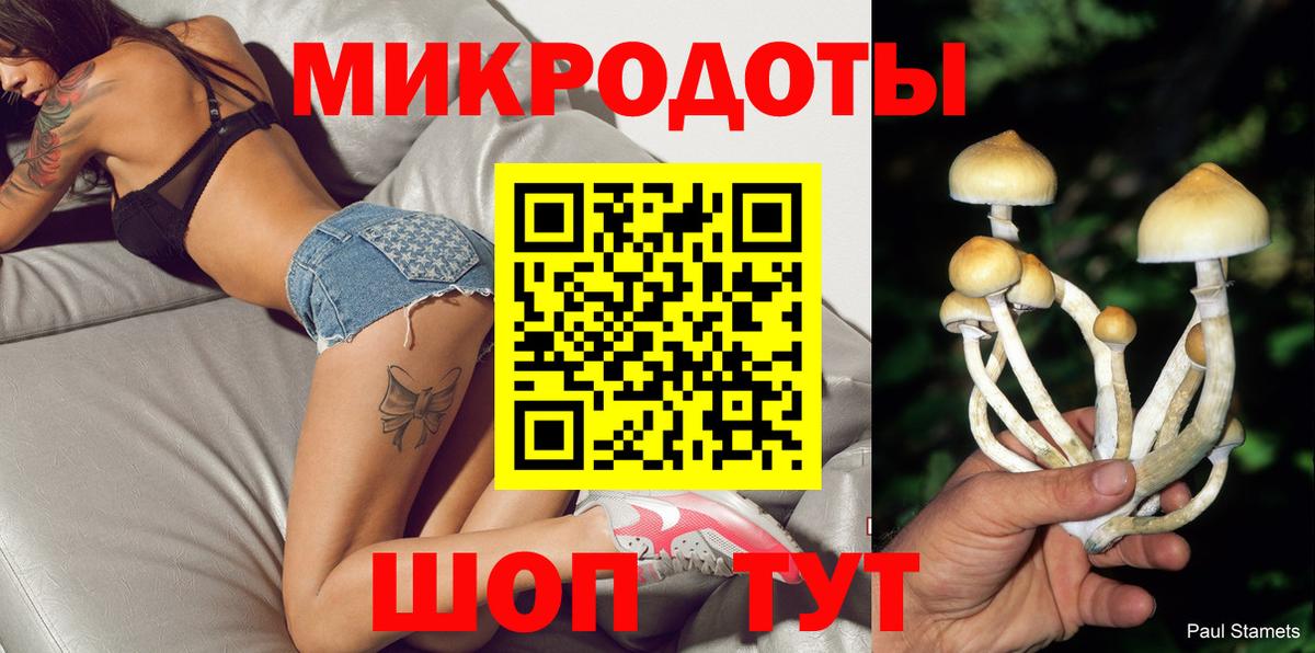 Псилоцибиновые грибы Cubensis Ростов-на-Дону