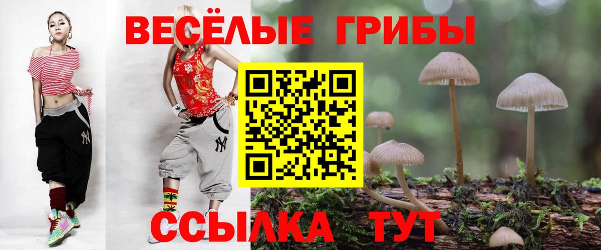 Ростов-на-Дону  Псилоцибиновые грибы Cubensis  Вход с VPN 